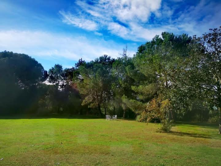 Printemps Quatre Saisons Leilighet Bergerac Eksteriør bilde